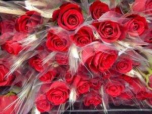 Ramalhete de rosas para agradecimento aos doadores de alimentos